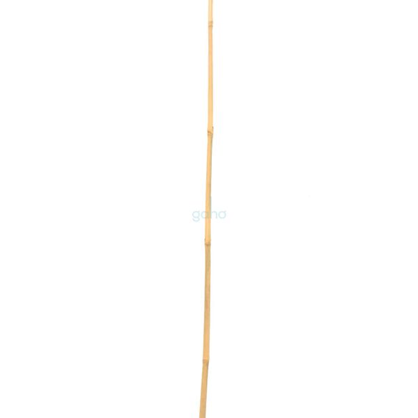 OPORA RASTLÍN bambusová TYČ 10-12mm 10ks balenie 120cm