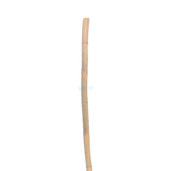 OPORA RASTLÍN bambusová TYČ 150-160mm 1ks 245cm