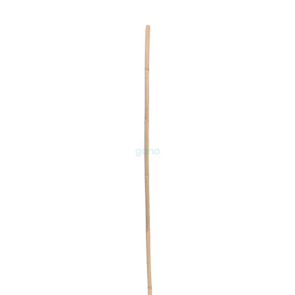 OPORA RASTLÍN bambusová TYČ 20-22mm 1ks 300cm